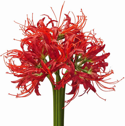 5 Pcs Artificial Flowers Spider Lilies Artificial Lycoris Bulbs with Long Stem Real Touch for Home Office Party Decorations